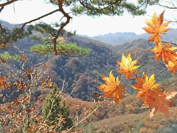 澳门六开彩天天正版免费,澳门六开彩天天正版免费，探索彩票文化的魅力与乐趣