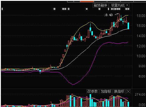 大选最新消息直播，紧张局势下的民意走向与未来展望