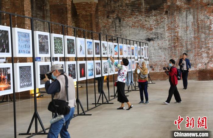 青海平安的最新消息，发展与变化的步伐不断前行