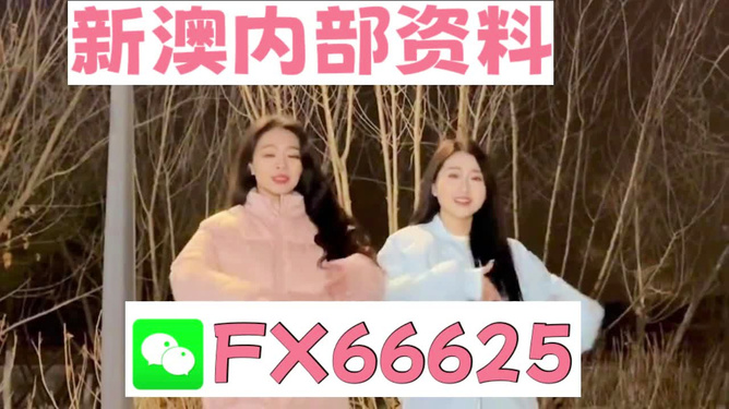 管家婆一码一肖100准，关于管家婆一码一肖100%准确的真相探究——揭示背后的违法犯罪问题