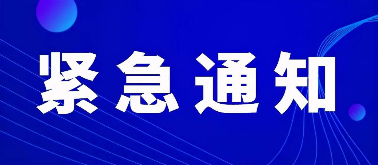 2024新澳正版免费资料，关于新澳正版免费资料的探讨与警示