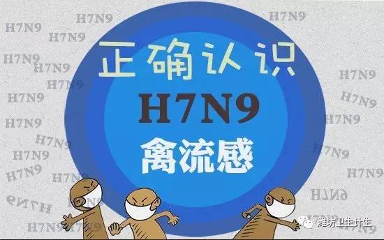 H7N9疫情最新消息，持续监测与应对策略的深化