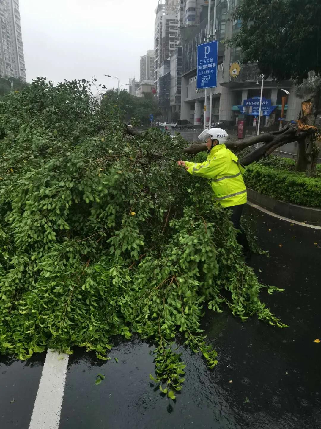 厦门动车最新招聘信息概览