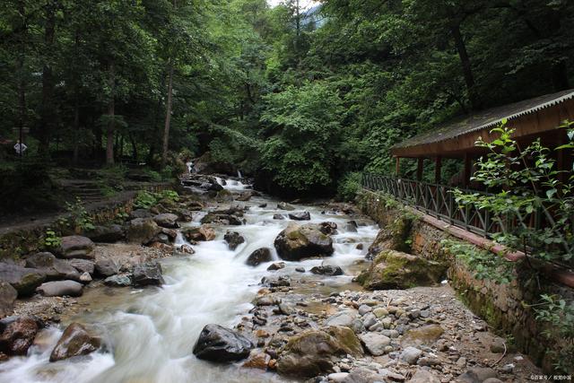 九龙沟风景区最新消息深度解析