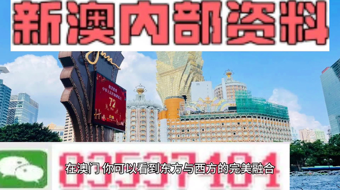 探索2024新澳天天免费资料，无限可能的机遇与挑战