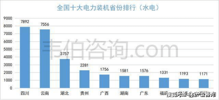 新澳今天最新资料995，深度解析与前景展望