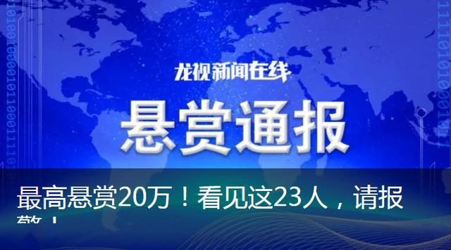 关于澳门精准正版免费大全的探讨——警惕违法犯罪问题