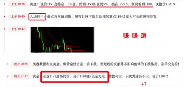 新澳内部一码精准公开的真相与警示——揭示背后的犯罪风险