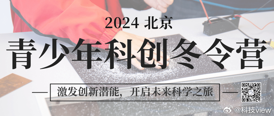 探索未来，2024年一肖一码一中一特的神秘面纱