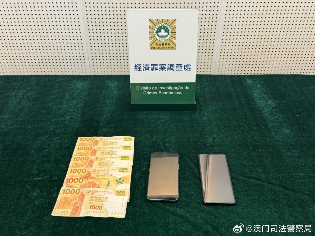 澳门王中王100%的资料——警惕犯罪风险，切勿参与非法赌博活动（2024年）