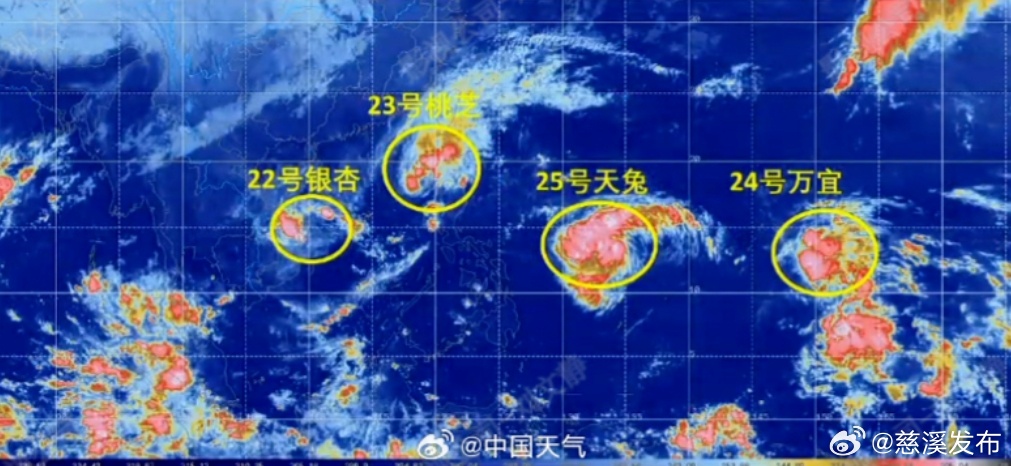 海上台风最新消息及其影响分析