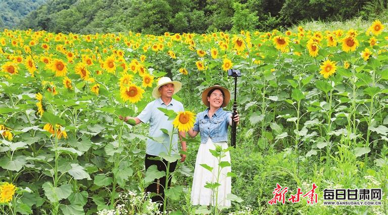 乡村寡妇村的最新章节，生活的挣扎与希望之花绽放