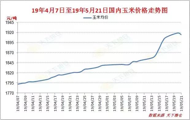 东营玉米价格最新行情分析