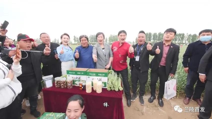 苍山蒜苔最新出库价格及市场动态分析