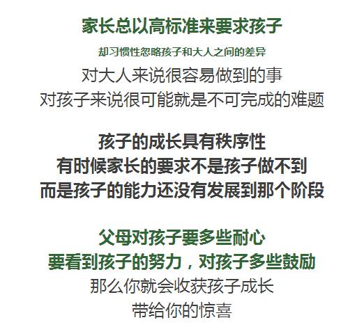 每伴清清宝最新事件，深度探究其背后的真相与影响