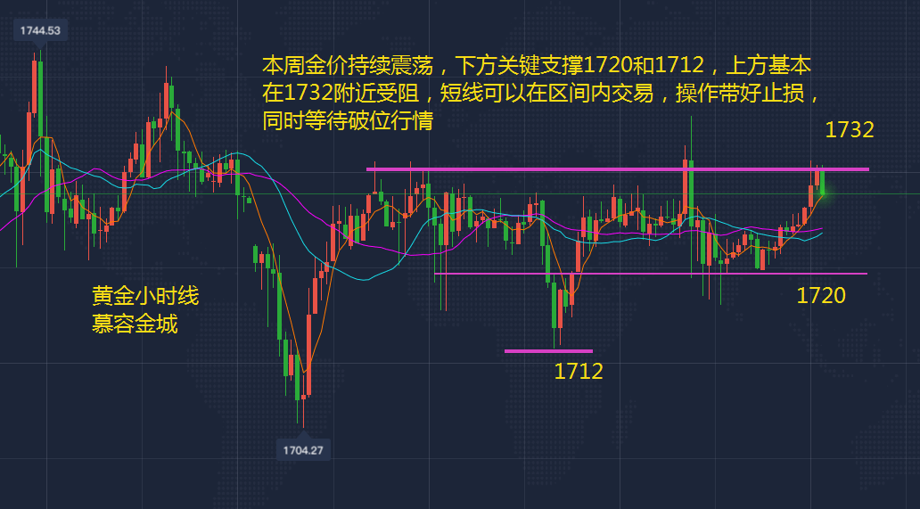 胡立阳最新消息，展现新动向，引领未来发展