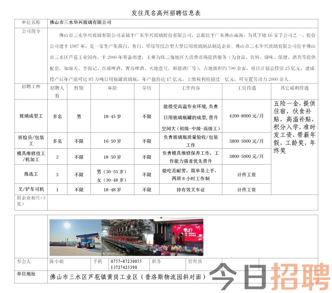 四会最新招聘动态与职业机遇展望（XXXX年）