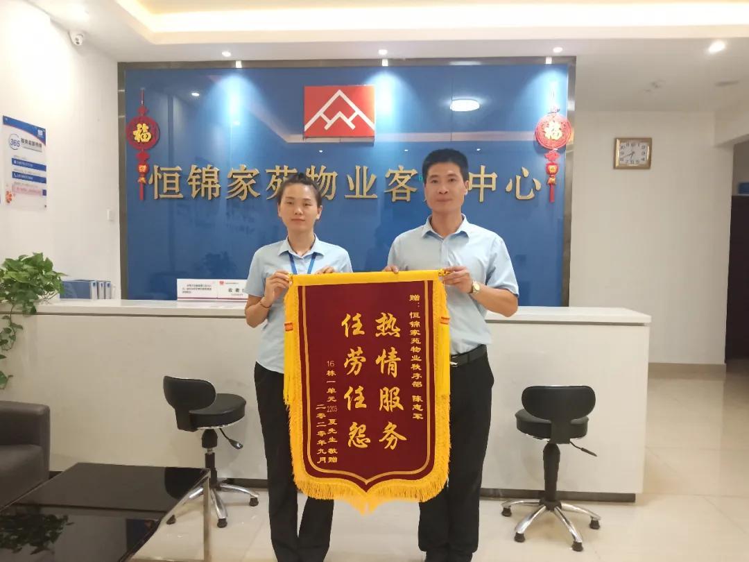 盛世卧龙城最新消息揭秘，未来蓝图与发展动态