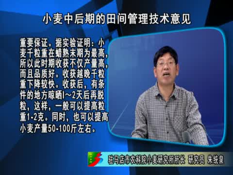 王鸣野村乡情最新章节——探寻乡村魅力，感受时代变迁