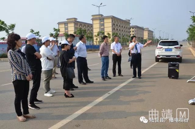 陆良论坛最新帖子热议不断，探索前沿话题与社区动态