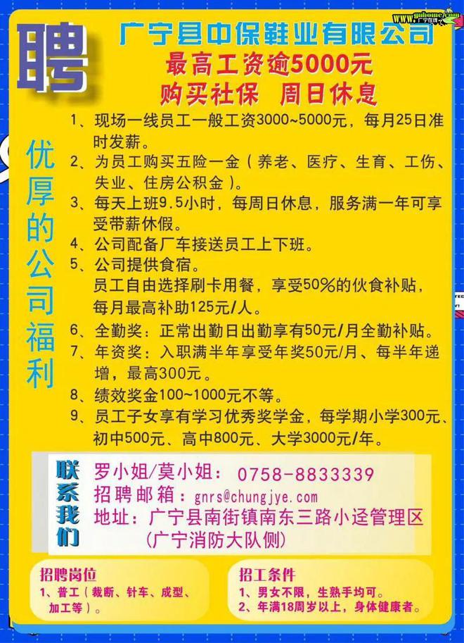 顺德陈村最新兼职招聘信息概览