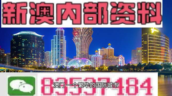 2024新澳正版免费资料精选解析大全