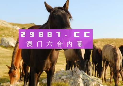 管家婆一肖一码澳门码精选资料解析大全