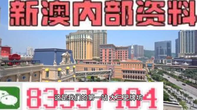 解析澳门正版资料，精选资料解析大全 2024新澳门正版免费正题