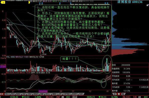 一码一肖精选资料解析大全，揭秘背后的秘密与策略