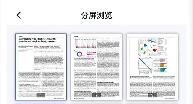 新奥门免费资料精选解析大全（2024版）深度解析与探讨