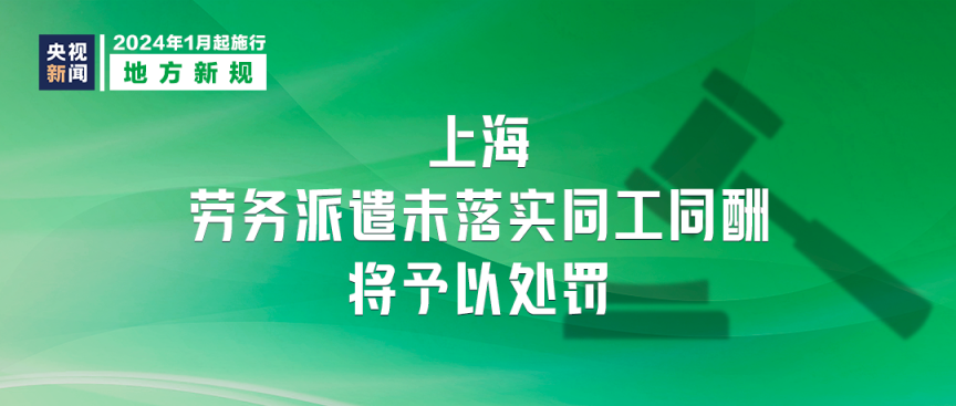 澳门正版免费精准资料解析与精选资料大全（2024版）