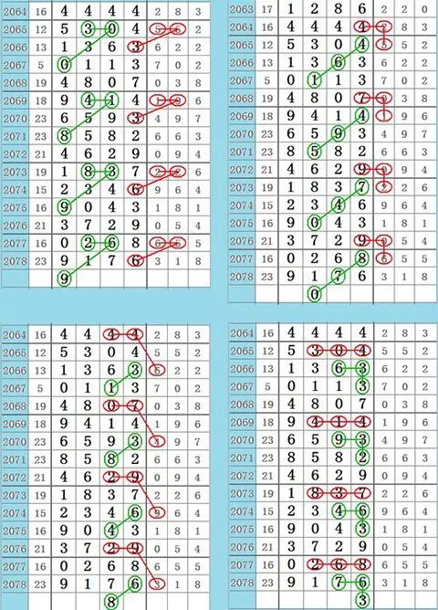 2024年白小姐四肖期期准精选资料解析大全