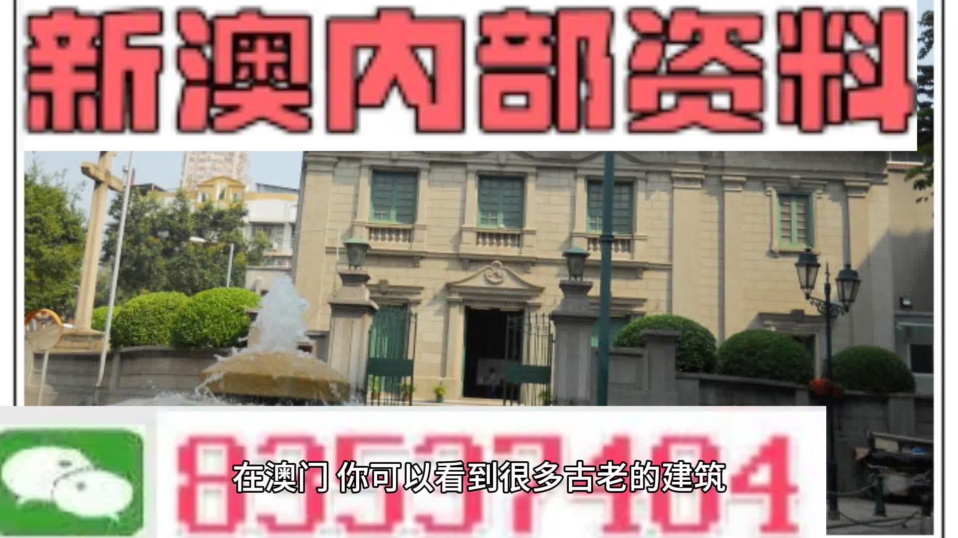 新澳门全年免费资料解析大全，精选资料深度解析与探索