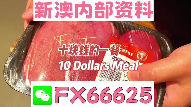 新澳精准资料免费提供第219期与精选资料解析大全