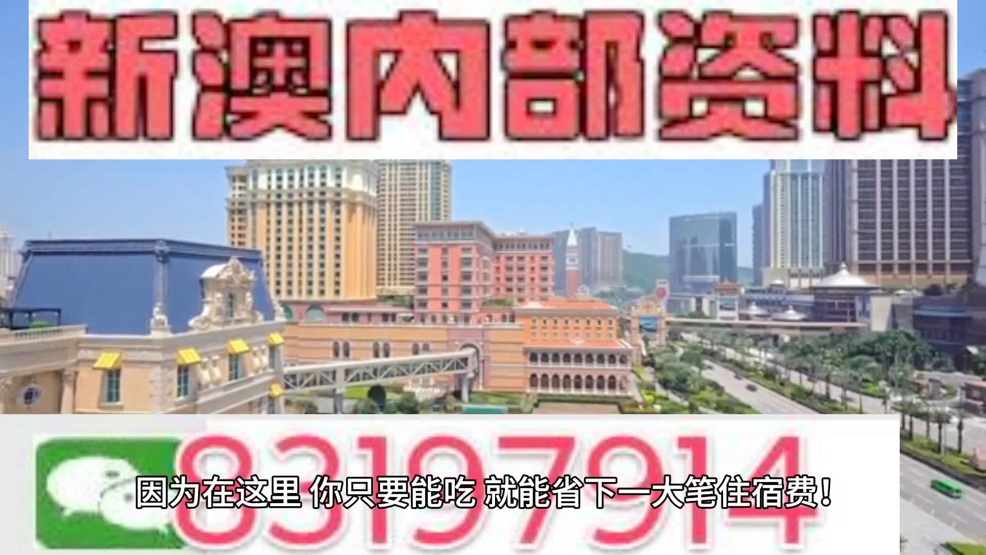 新澳门2024今晚开奖精选资料解析大全