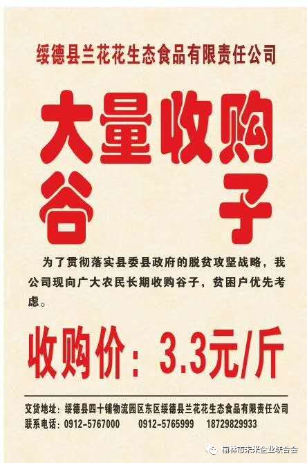 晋江电子厂最新招聘启事