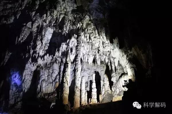 最新上海地铁鸟洞大全，探索与发现