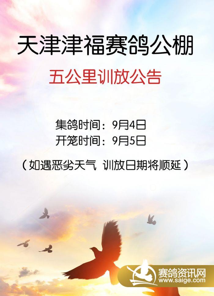 辽宁津福公棚最新公告