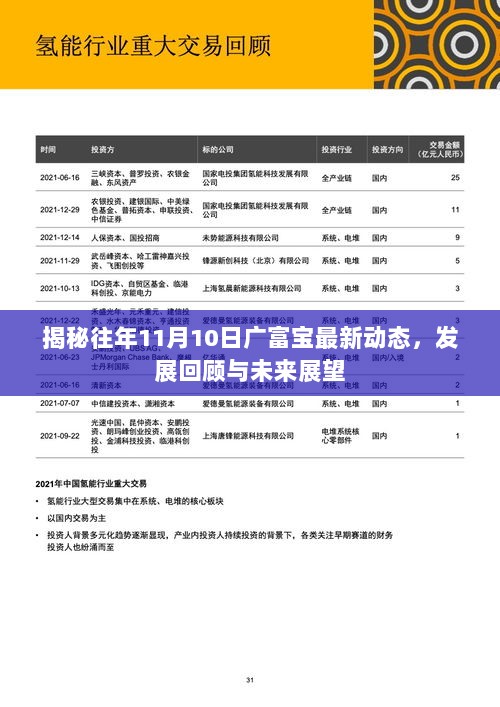 生意宝牌照最新消息，行业变革与未来发展展望