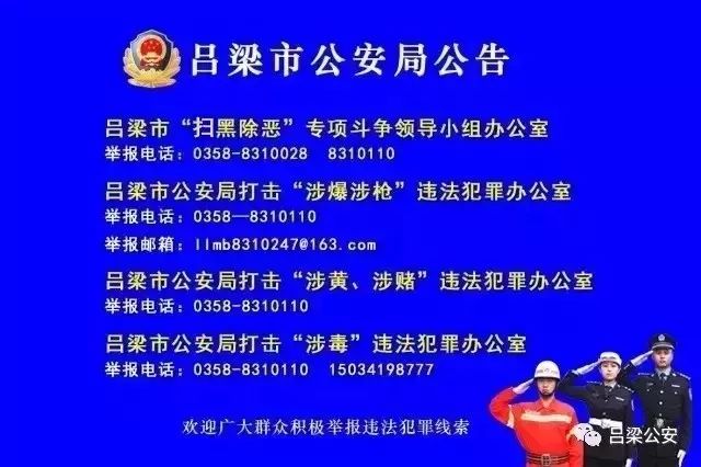 澳门正版精准免费大全——揭示犯罪现象的警示文章