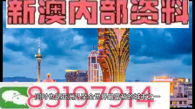 澳门正版精准免费大全，探索与解析