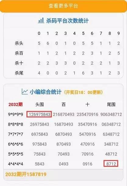 澳门特马今晚开奖138期，期待与激情的交汇点