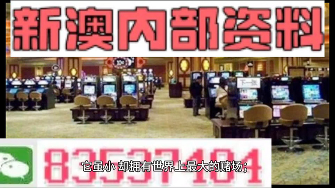 2024新澳正版免费资料大全，探索、学习与分享