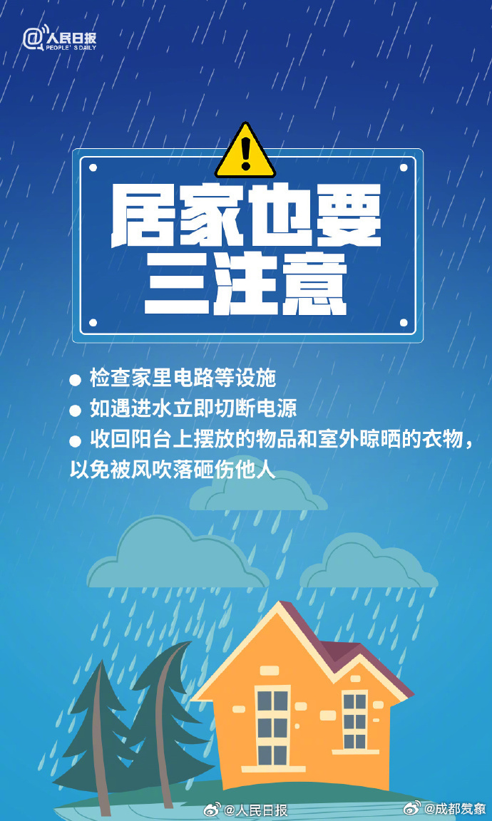 新澳门天天开彩，探索彩票背后的故事与未来展望（2024年）