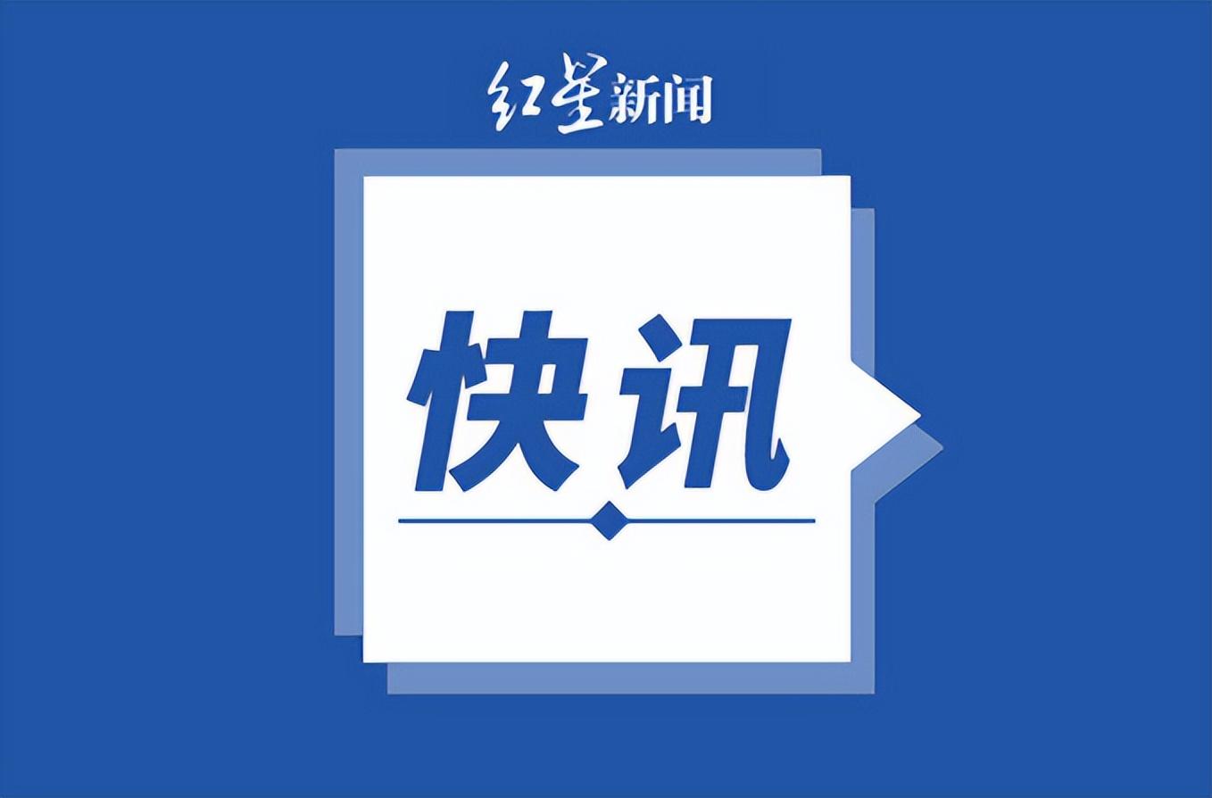 2024全年資料免費大全，探索与利用