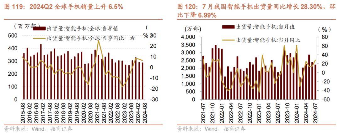 探索未知，解读澳家婆与一肖一特的神秘关联（2024年展望）