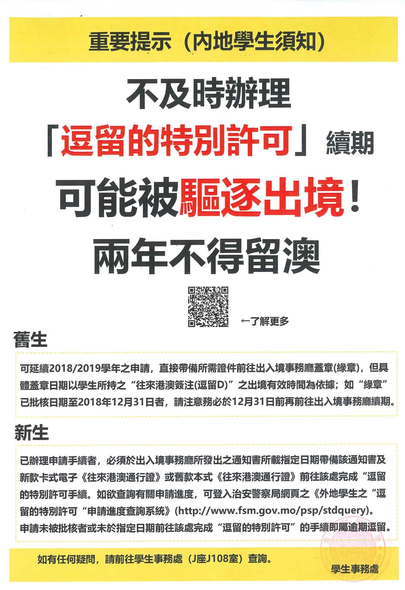 澳门今晚必开一肖一特，探索运气与预测的背后