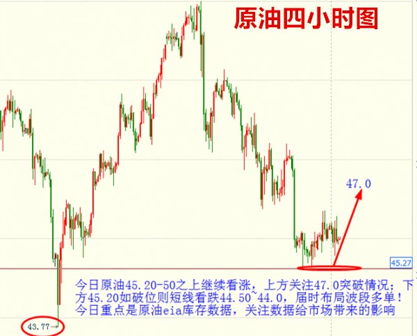 今晚澳门精准一肖一马的预测与探索