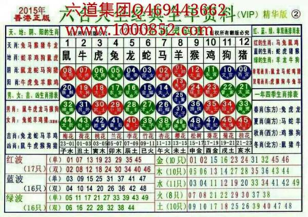 2025十二生肖49码表,揭秘，2025十二生肖与彩票49码表的不解之缘