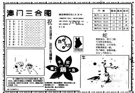 777788888管家婆中特,探索神秘的数字组合，在管家婆中特的7777与88888世界